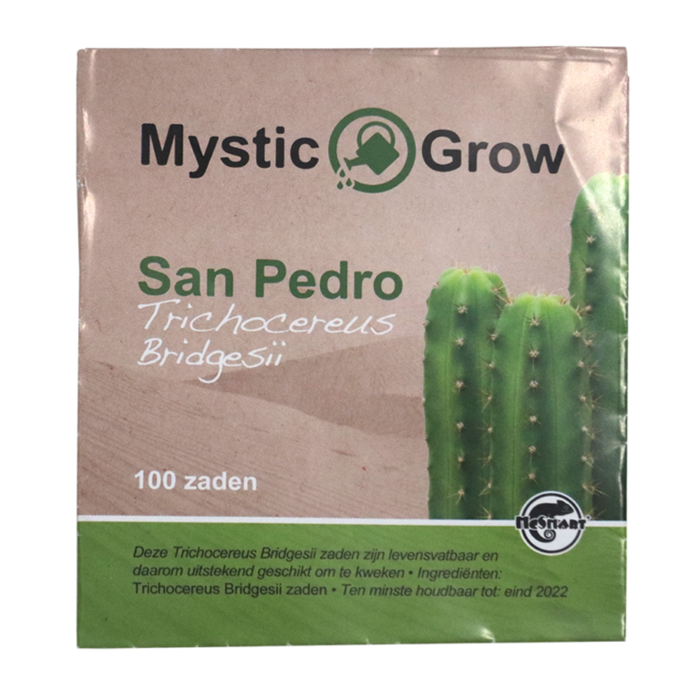 Trichocereus Bridgesii