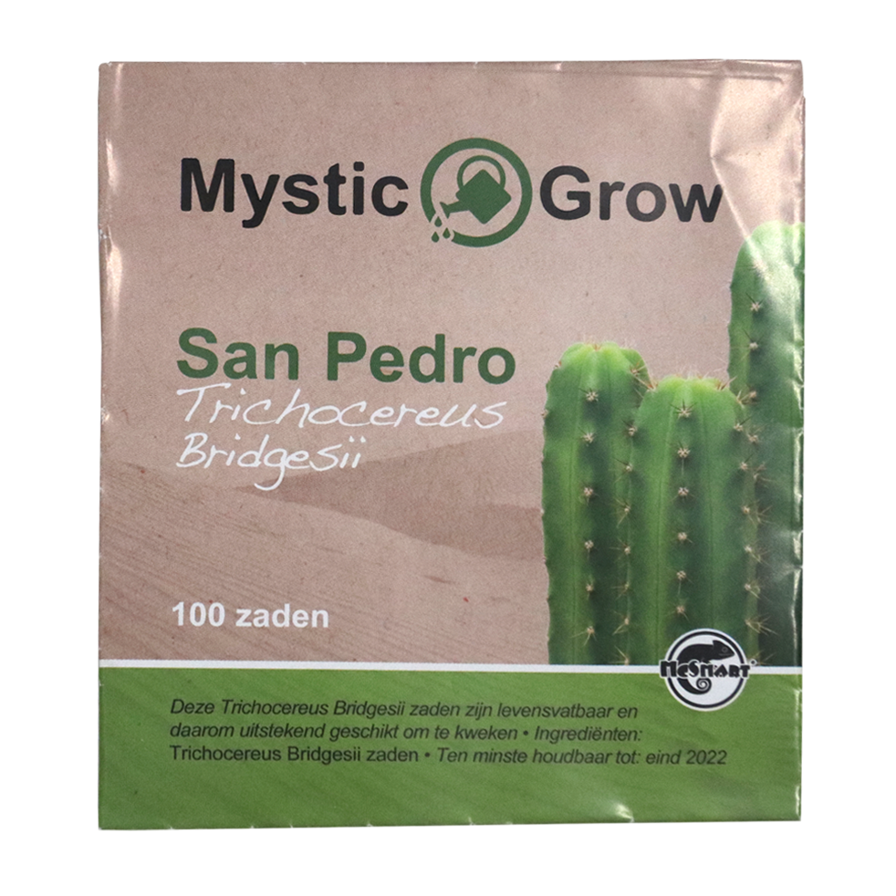 Trichocereus Bridgesii