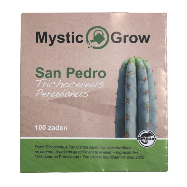 Trichocereus Perunianus