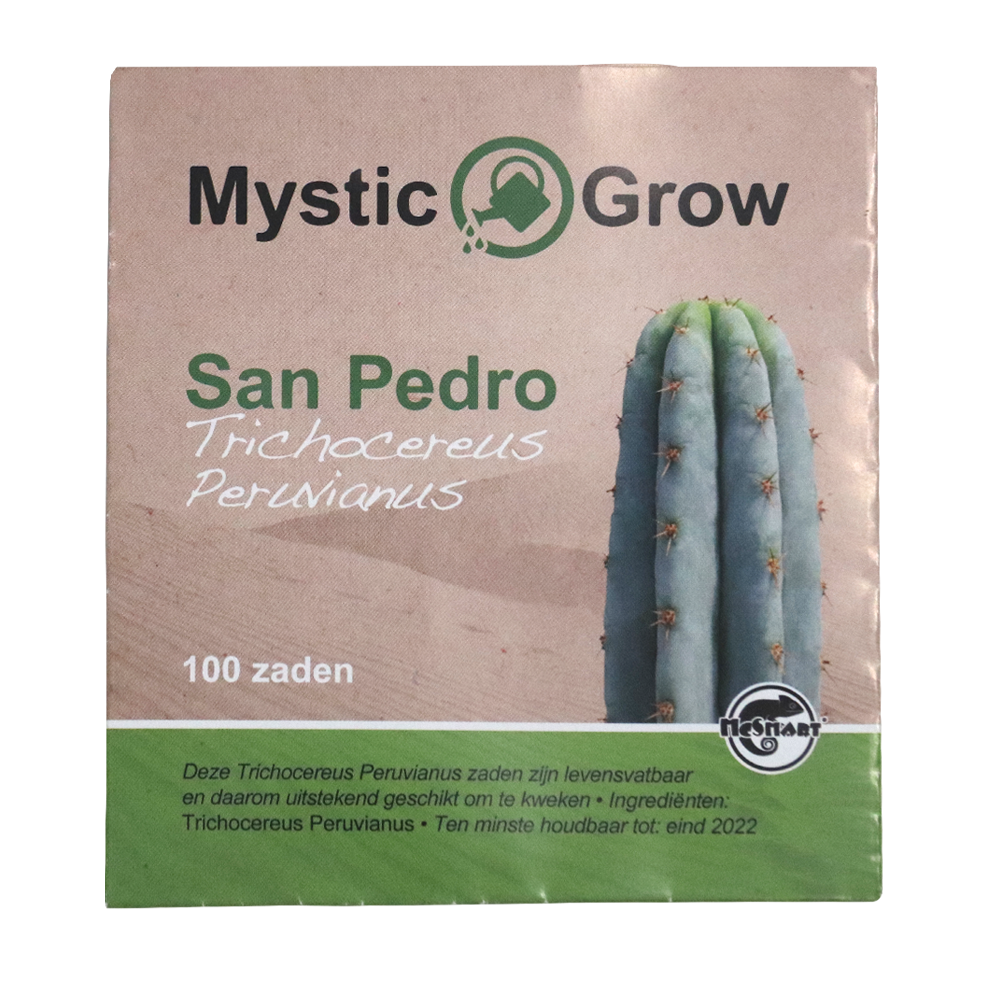 Trichocereus Perunianus